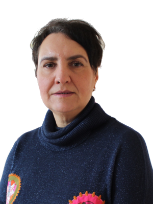 Выборнова Екатерина Александровна Выборнова Екатерина Александровна